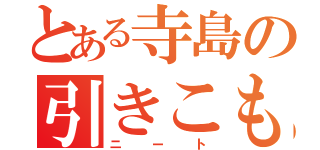 とある寺島の引きこもり（ニート）