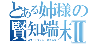 とある姉様の賢知端末Ⅱ（スマートフォン　さわるな）