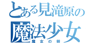 とある見滝原の魔法少女（魔女の卵）