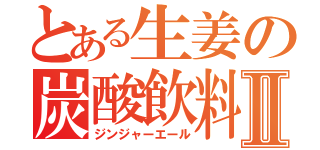 とある生姜の炭酸飲料Ⅱ（ジンジャーエール）