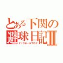 とある下関の避球日記Ⅱ（ドッジボールブログ）