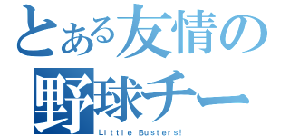 とある友情の野球チーム（Ｌｉｔｔｌｅ Ｂｕｓｔｅｒｓ！）