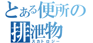 とある便所の排泄物（スカトロジー）