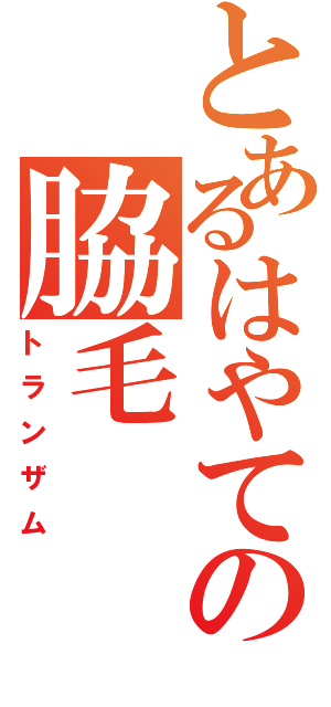 とあるはやての脇毛Ⅱ（トランザム）