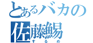 とあるバカの佐藤鯣（するめ）