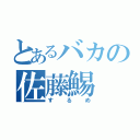 とあるバカの佐藤鯣（するめ）