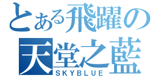 とある飛躍の天堂之藍（ＳＫＹＢＬＵＥ）