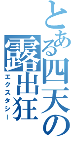 とある四天の露出狂（エクスタシー）