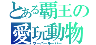 とある覇王の愛玩動物（ウーパールーパー）