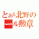 とある北野のール勲章（）