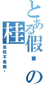 とある假发の桂（是桂不是假发）