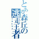 とある森丘の逃走王者（リオレウス）