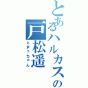 とあるハルカスの戸松遥（とまっちゃん）