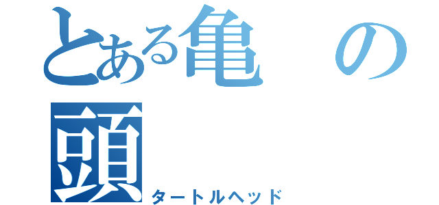 とある亀の頭（タートルヘッド）