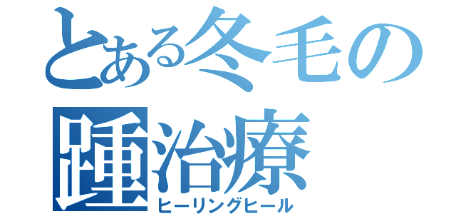 とある冬毛の踵治療（ヒーリングヒール）