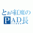 とある紅魔のＰＡＤ長（十六夜咲夜）