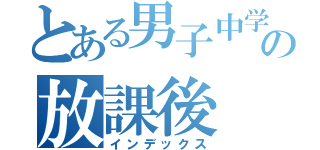 とある男子中学生の放課後（インデックス）