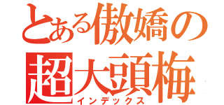 とある傲嬌の超大頭梅（インデックス）