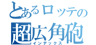 とあるロッテの超広角砲（インデックス）