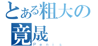 とある粗大の竟晟（Ｐｅｎｉｓ）