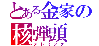 とある金家の核弾頭（アトミック）