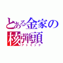 とある金家の核弾頭（アトミック）