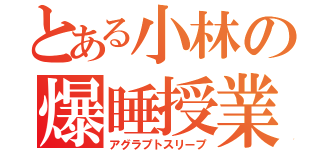 とある小林の爆睡授業（アグラプトスリープ）