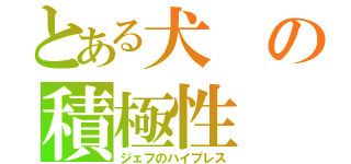 とある犬の積極性（ジェフのハイプレス）