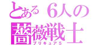 とある６人の薔薇戦士（プリキュア５）