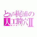 とある梶浦の人工膣穴Ⅱ（オナホール）