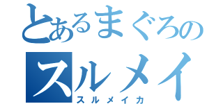 とあるまぐろのスルメイカ（スルメイカ）