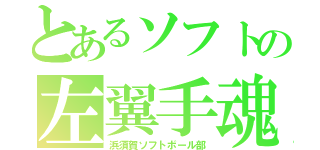 とあるソフトの左翼手魂（浜須賀ソフトボール部）