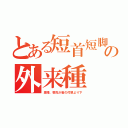 とある短首短脚の外来種（激増、顎先が首の付根より下）