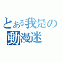 とある我是の動漫迷（）