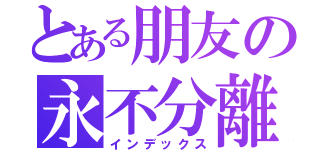 とある朋友の永不分離（インデックス）