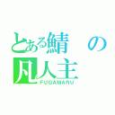 とある鯖の凡人主（ＦＵＧＡＭＡＲＵ）