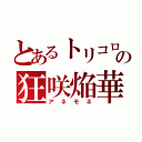 とあるトリコロの狂咲焔華（アネモネ）