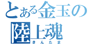 とある金玉の陸上魂（きんたま）