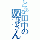 とある田中の奴隷さん（ナッツ）