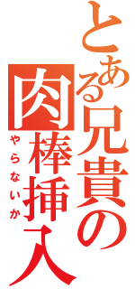 とある兄貴の肉棒挿入（やらないか）