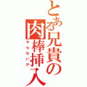 とある兄貴の肉棒挿入（やらないか）