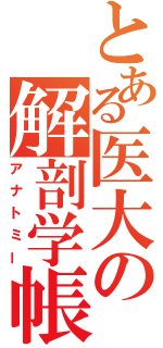 とある医大の解剖学帳（アナトミー）