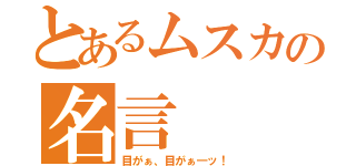 とあるムスカの名言（目がぁ、目がぁ―ッ！）