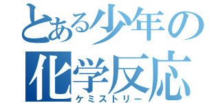 とある少年の化学反応（ケミストリー）