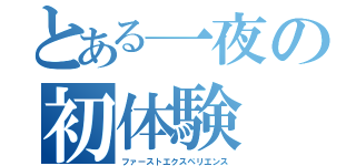 とある一夜の初体験（ファーストエクスペリエンス）