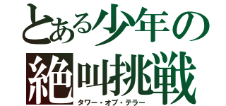 とある少年の絶叫挑戦（タワー・オブ・テラー）