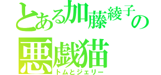 とある加藤綾子の悪戯猫（トムとジェリー）