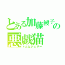 とある加藤綾子の悪戯猫（トムとジェリー）