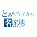 とあるスイカの名産地（友達ができた）