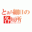 とある細目の各短所（コンプレックス）